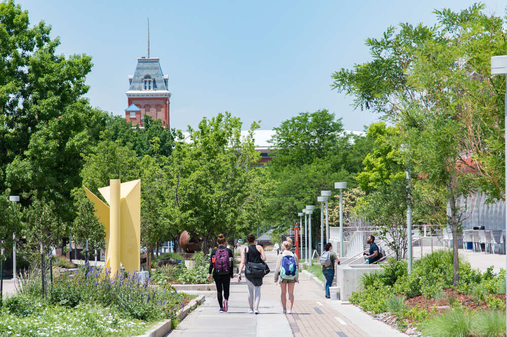 ID Station - Students walking down tree-lined path